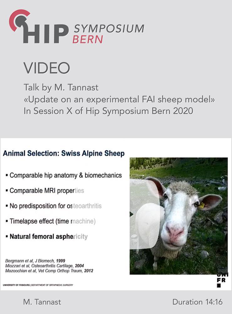 Update on an experimental FAI sheep model / M. Tannast